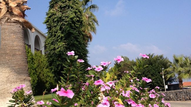 Onar Village キレニア 設備 写真